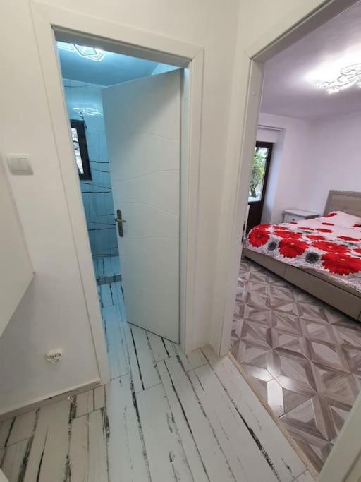 Iasi City - Central Apartment Екстер'єр фото